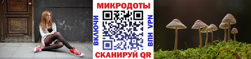 Псилоцибиновые грибы Cubensis  Купить  Новоалександровск 