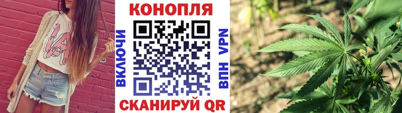 Купить где  Новоалександровск  МАРИХУАНА SATIVA & INDICA 